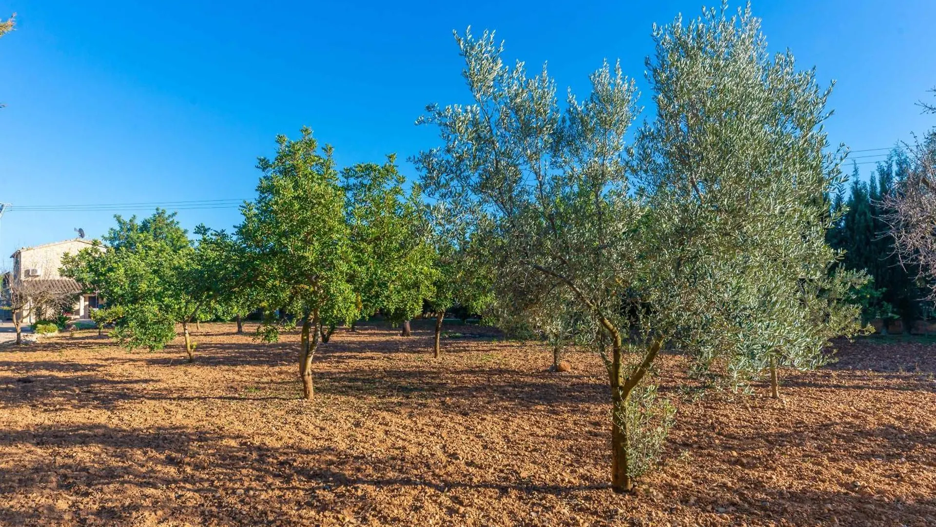 Villa Can Antich Lloseta Spanje